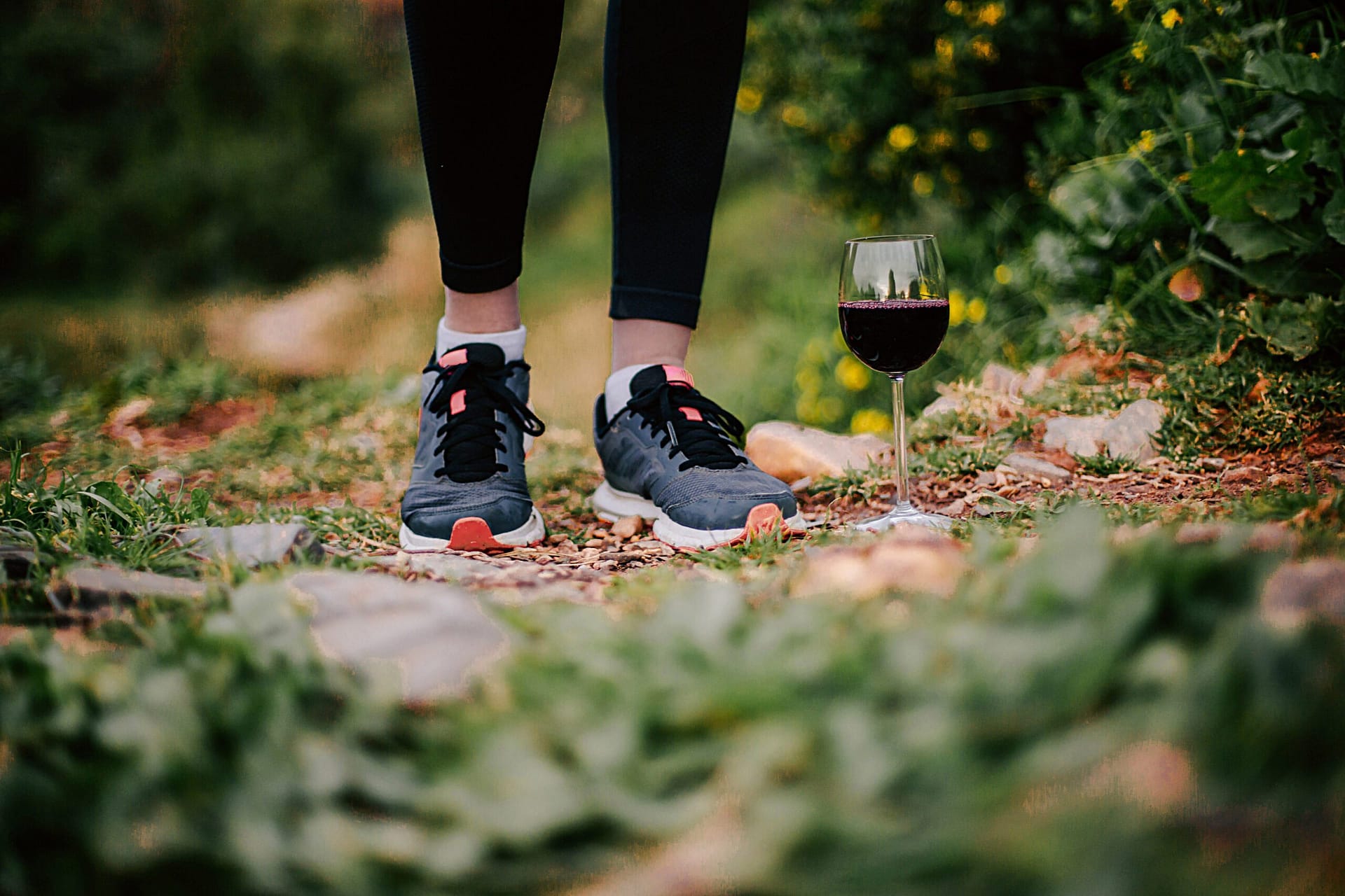 VINEYARD VIBES RUN 5KM - 30 NOV 2024