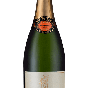 SURVIVOR CAP CLASSIQUE - 6 x 750ml